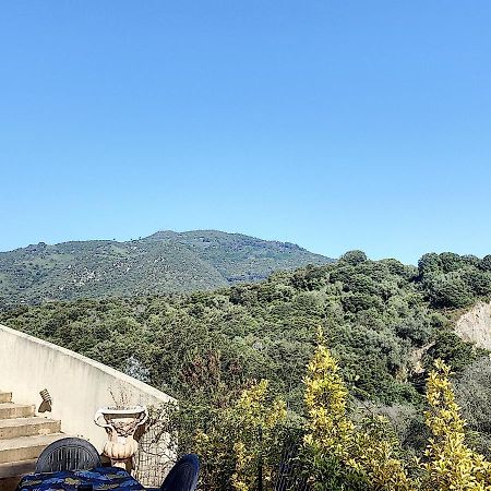 Grand appartement spacieux à 5 min du centre ville Ajaccio (Corsica) Exterior foto